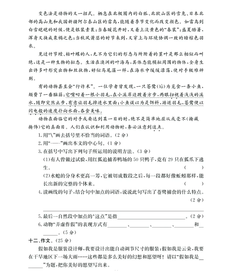 《期末大冲刺》语文3年级下册（RJ）_三年级上下册资料_小学三年级学习资料-25年更新版_3-02、小学三年级语文下册_3-2-2、练习题、作业、试题、试卷_电子册类