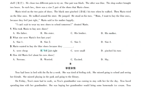 2026《中考英语45套》辽宁题型小卷答案_45套中招_2026《中考英语45套》辽宁