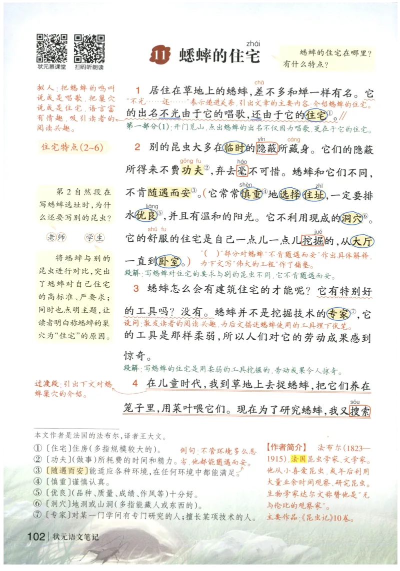 《状元笔记》_25秋小学语数英习题试卷_语文_25秋《状元笔记》语文12456_4年级语文《状元笔记》25秋
