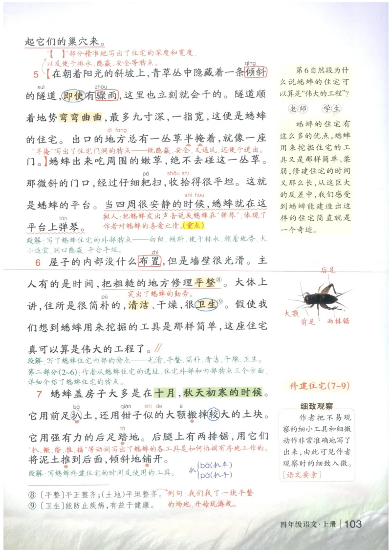 《状元笔记》_25秋小学语数英习题试卷_语文_25秋《状元笔记》语文12456_4年级语文《状元笔记》25秋