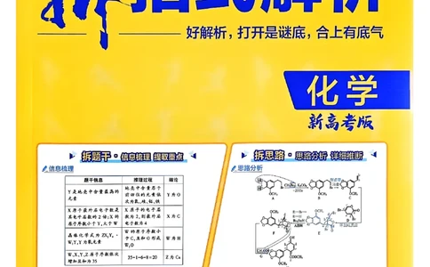 2025高考必刷卷化学新高考版答案解析册_2025高中教辅（后续还会更新新习题试卷）_《2025高考必刷卷》_化学