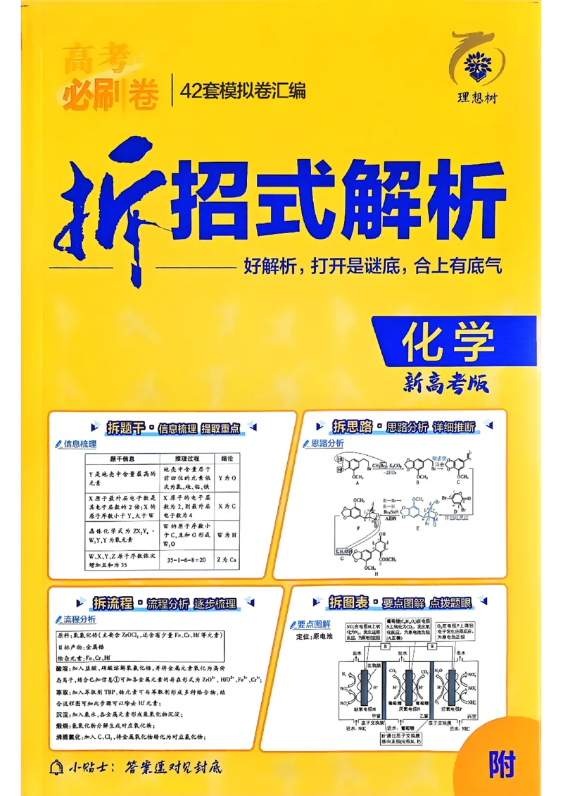 2025高考必刷卷化学新高考版答案解析册_2025高中教辅（后续还会更新新习题试卷）_《2025高考必刷卷》_化学