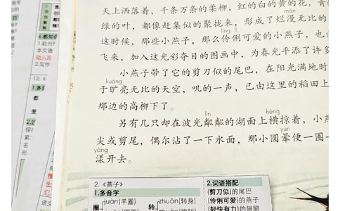 三年级语文课课贴_三年级上下册资料_三年级下册小红书同款资料_三下语文