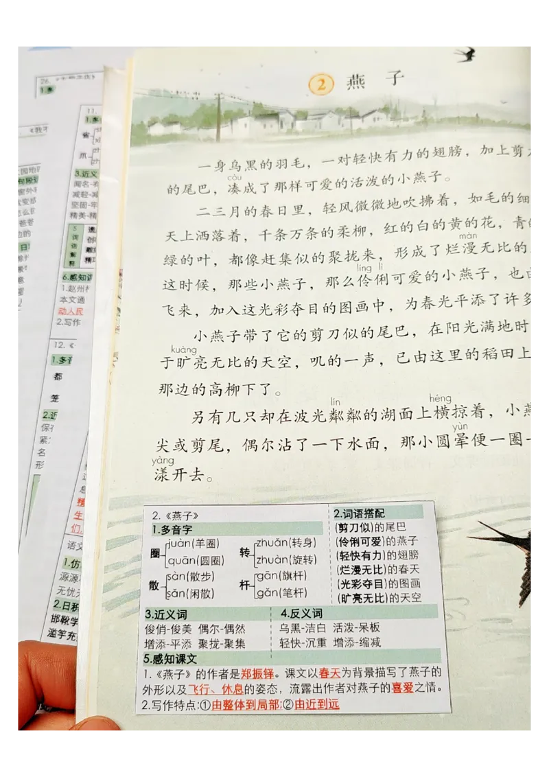 三年级语文课课贴_三年级上下册资料_三年级下册小红书同款资料_三下语文