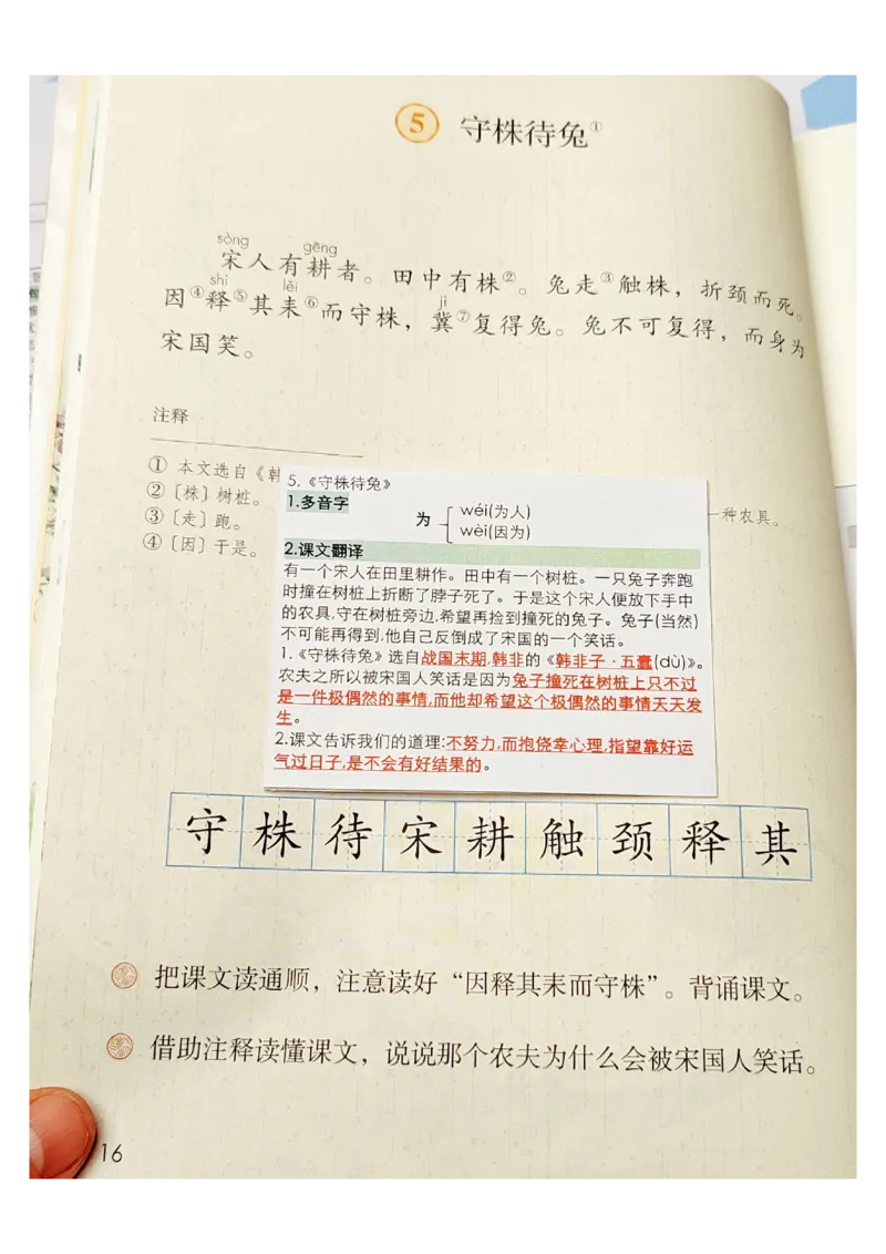 三年级语文课课贴_三年级上下册资料_三年级下册小红书同款资料_三下语文