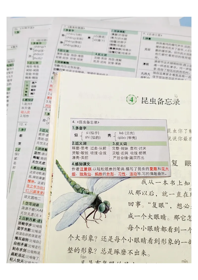 三年级语文课课贴_三年级上下册资料_三年级下册小红书同款资料_三下语文