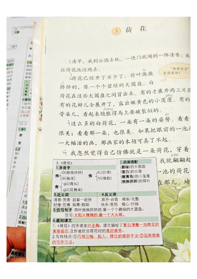 三年级语文课课贴_三年级上下册资料_三年级下册小红书同款资料_三下语文