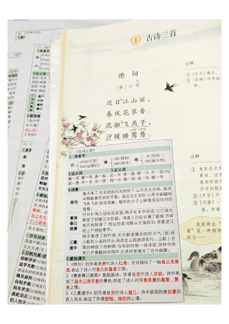 三年级语文课课贴_三年级上下册资料_三年级下册小红书同款资料_三下语文