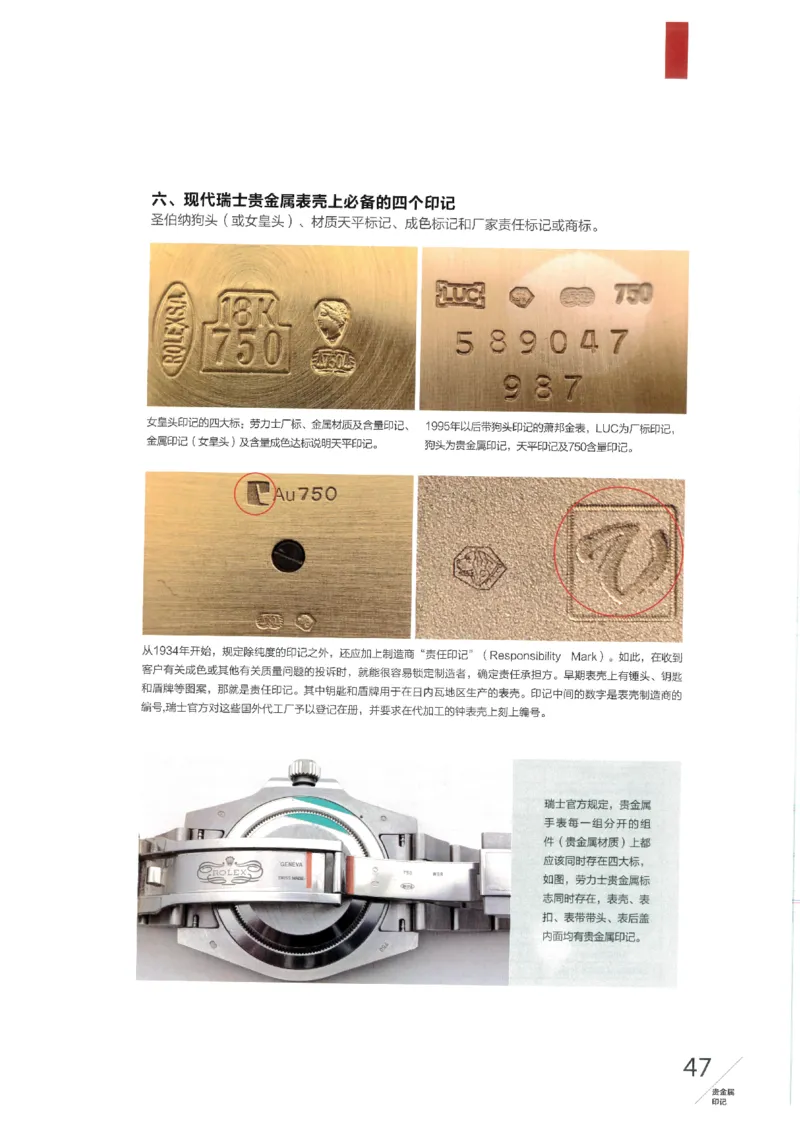 名表通鉴无水印_X017-奢侈品鉴定教程最新合集_5、寄卖行鉴定全套手册合集6套_手表鉴定资料