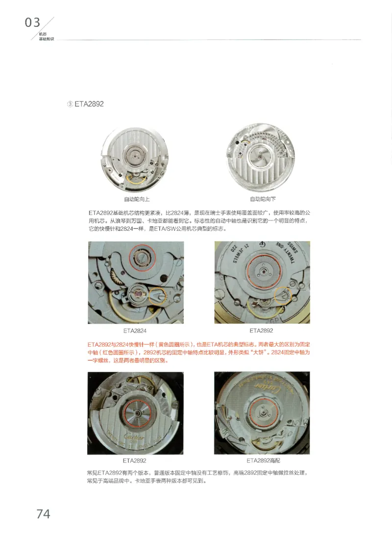 名表通鉴无水印_X017-奢侈品鉴定教程最新合集_5、寄卖行鉴定全套手册合集6套_手表鉴定资料
