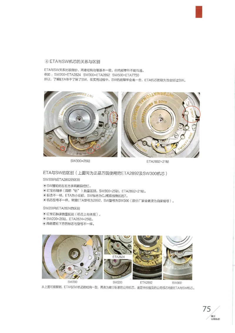 名表通鉴无水印_X017-奢侈品鉴定教程最新合集_5、寄卖行鉴定全套手册合集6套_手表鉴定资料