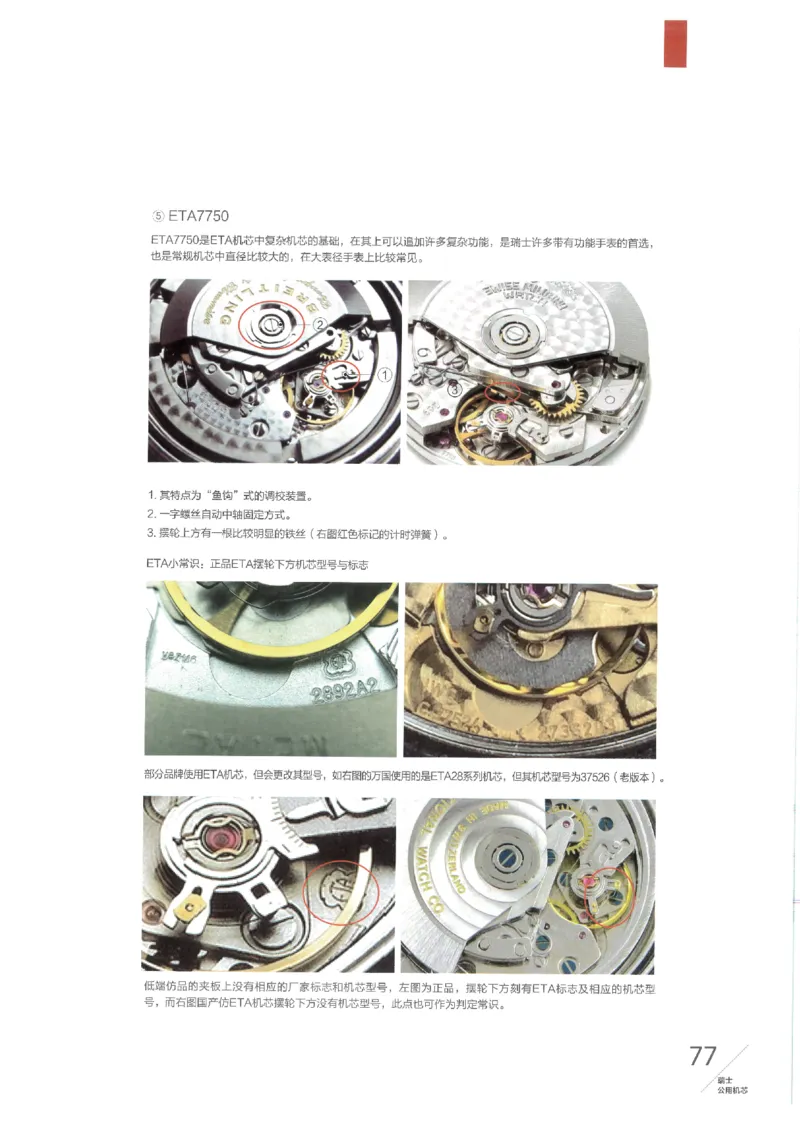 名表通鉴无水印_X017-奢侈品鉴定教程最新合集_5、寄卖行鉴定全套手册合集6套_手表鉴定资料