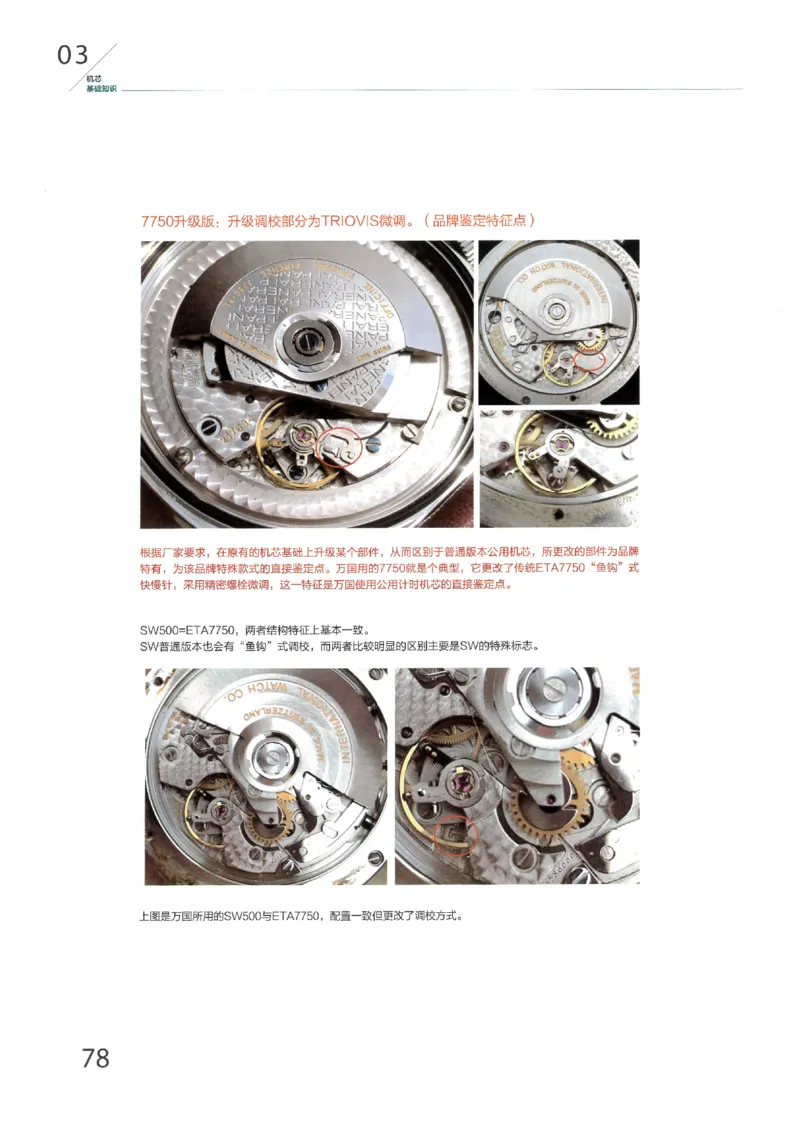 名表通鉴无水印_X017-奢侈品鉴定教程最新合集_5、寄卖行鉴定全套手册合集6套_手表鉴定资料