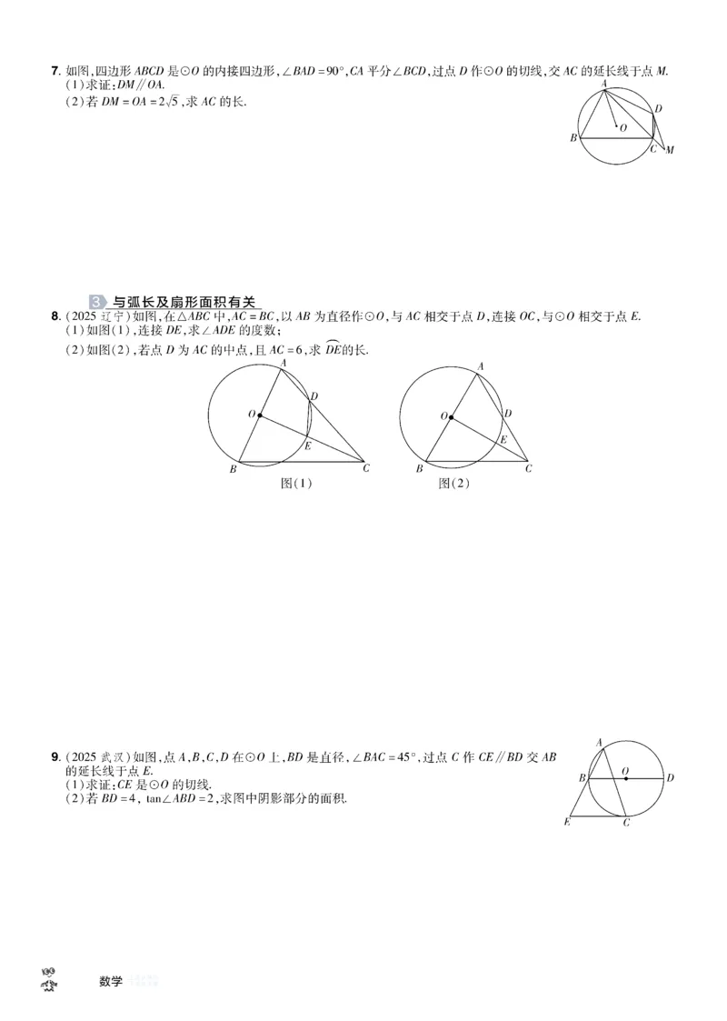 2026《中考数学45套》新疆题型速练小卷_45套中招_2025《中考数学45套》新疆