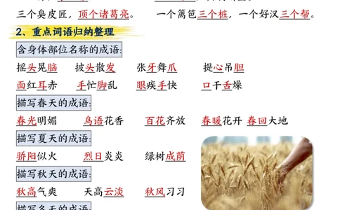 三年级上册语文期中总复习重点知识点归纳整理(小张老师整理)_三年级上下册资料_三年级上册小红书同款资料_三年级(1)