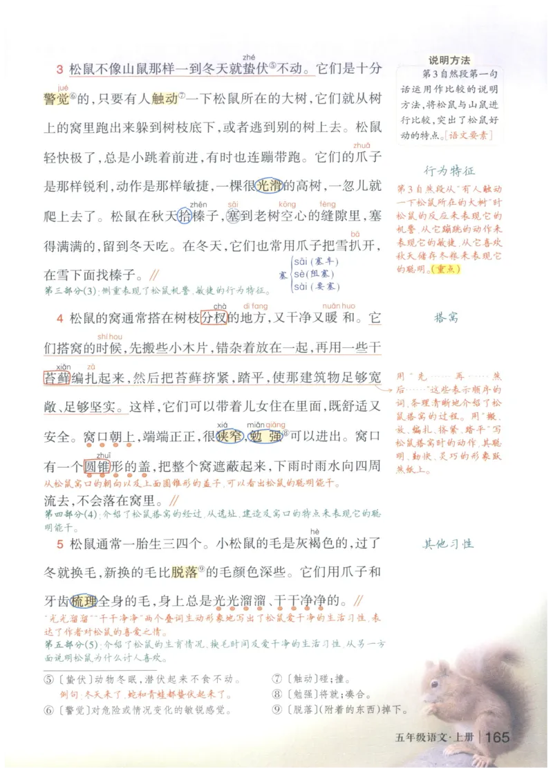 《状元笔记》_25秋小学语数英习题试卷_语文_25秋《状元笔记》语文12456_5年级语文《状元笔记》25秋
