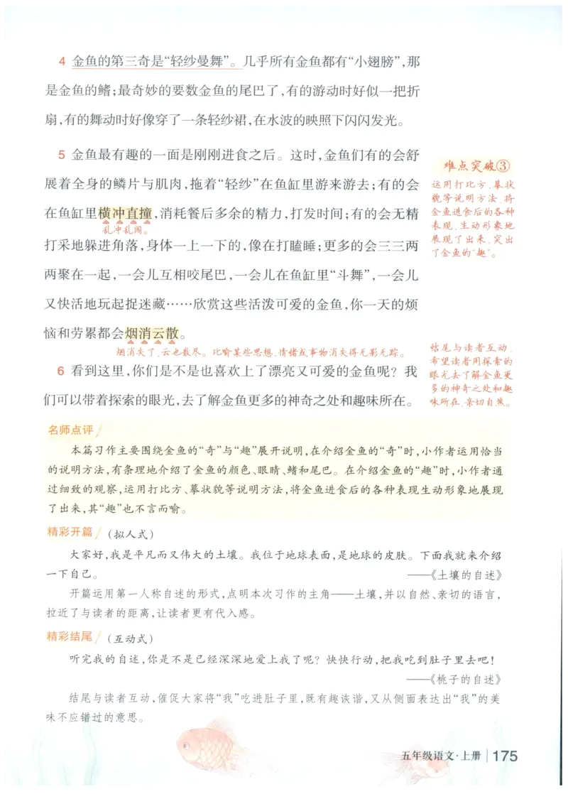 《状元笔记》_25秋小学语数英习题试卷_语文_25秋《状元笔记》语文12456_5年级语文《状元笔记》25秋