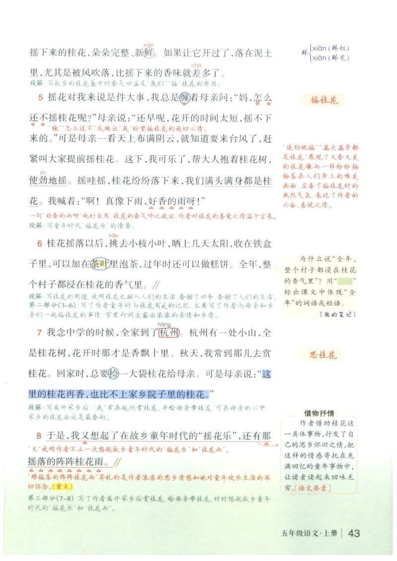 《状元笔记》_25秋小学语数英习题试卷_语文_25秋《状元笔记》语文12456_5年级语文《状元笔记》25秋