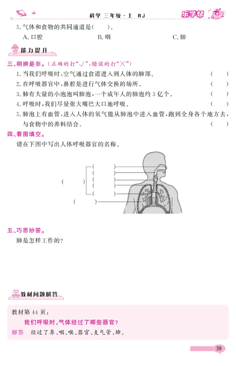 乐学帮科学道法练习册&middot;科学鄂教3上_三年级上下册资料_小学三年级学习资料-25年更新版_3-09、小学三年级科学上册_人教鄂教版