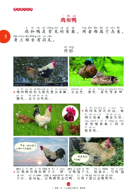 一（下）语文年级阅读_一年级上下册资料_小学一年级学习资料-25年更新版_1-02、小学一年级语文下册_3-6-2-1、复习、知识点、归纳汇总_部编（人教）版_阅读理解讲义