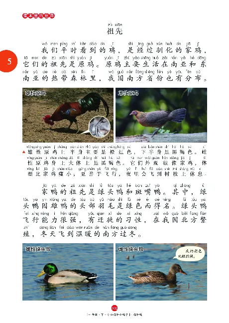 一（下）语文年级阅读_一年级上下册资料_小学一年级学习资料-25年更新版_1-02、小学一年级语文下册_3-6-2-1、复习、知识点、归纳汇总_部编（人教）版_阅读理解讲义