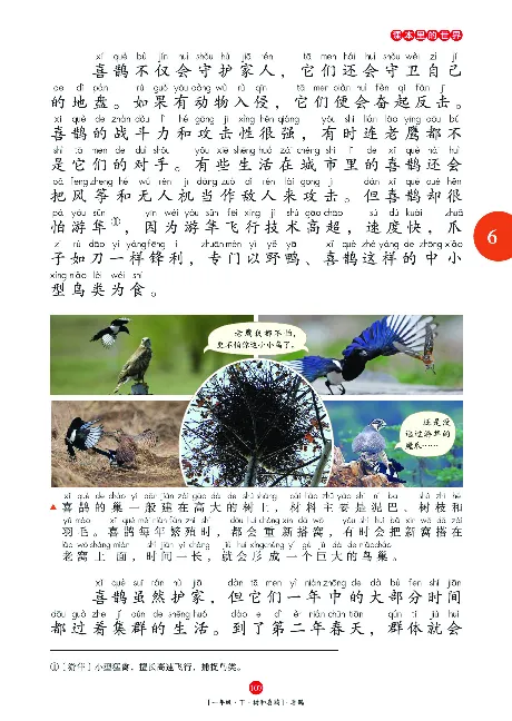 一（下）语文年级阅读_一年级上下册资料_小学一年级学习资料-25年更新版_1-02、小学一年级语文下册_3-6-2-1、复习、知识点、归纳汇总_部编（人教）版_阅读理解讲义