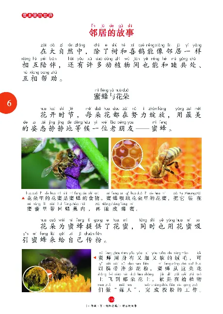 一（下）语文年级阅读_一年级上下册资料_小学一年级学习资料-25年更新版_1-02、小学一年级语文下册_3-6-2-1、复习、知识点、归纳汇总_部编（人教）版_阅读理解讲义