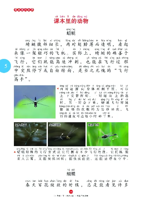 一（下）语文年级阅读_一年级上下册资料_小学一年级学习资料-25年更新版_1-02、小学一年级语文下册_3-6-2-1、复习、知识点、归纳汇总_部编（人教）版_阅读理解讲义