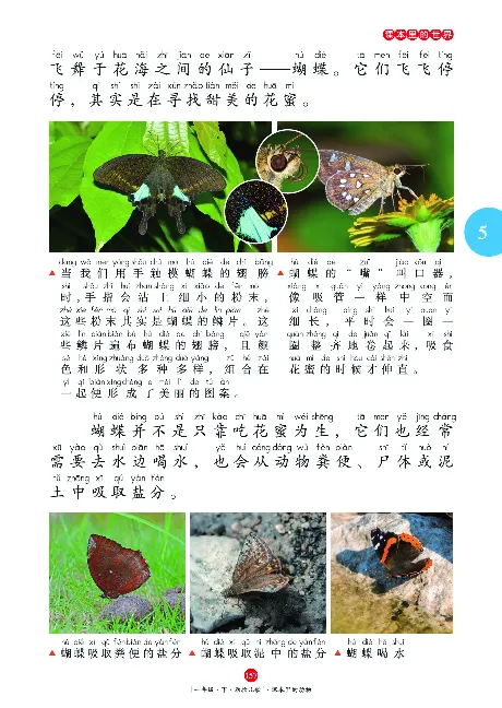 一（下）语文年级阅读_一年级上下册资料_小学一年级学习资料-25年更新版_1-02、小学一年级语文下册_3-6-2-1、复习、知识点、归纳汇总_部编（人教）版_阅读理解讲义