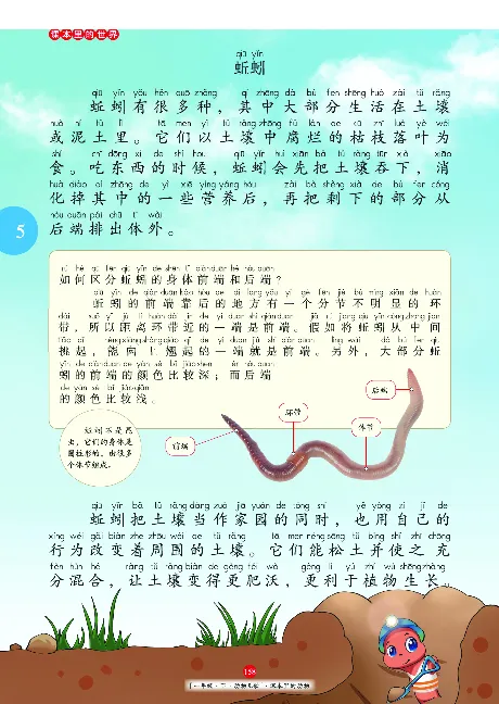 一（下）语文年级阅读_一年级上下册资料_小学一年级学习资料-25年更新版_1-02、小学一年级语文下册_3-6-2-1、复习、知识点、归纳汇总_部编（人教）版_阅读理解讲义
