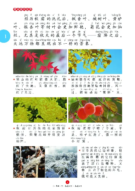 一（下）语文年级阅读_一年级上下册资料_小学一年级学习资料-25年更新版_1-02、小学一年级语文下册_3-6-2-1、复习、知识点、归纳汇总_部编（人教）版_阅读理解讲义