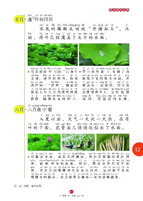 一（下）语文年级阅读_一年级上下册资料_小学一年级学习资料-25年更新版_1-02、小学一年级语文下册_3-6-2-1、复习、知识点、归纳汇总_部编（人教）版_阅读理解讲义