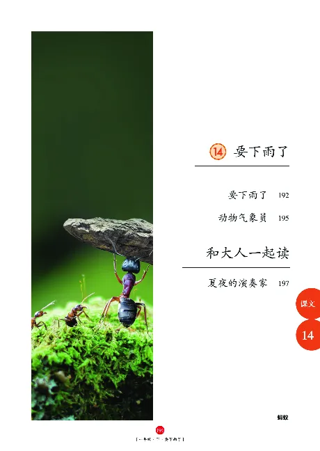 一（下）语文年级阅读_一年级上下册资料_小学一年级学习资料-25年更新版_1-02、小学一年级语文下册_3-6-2-1、复习、知识点、归纳汇总_部编（人教）版_阅读理解讲义