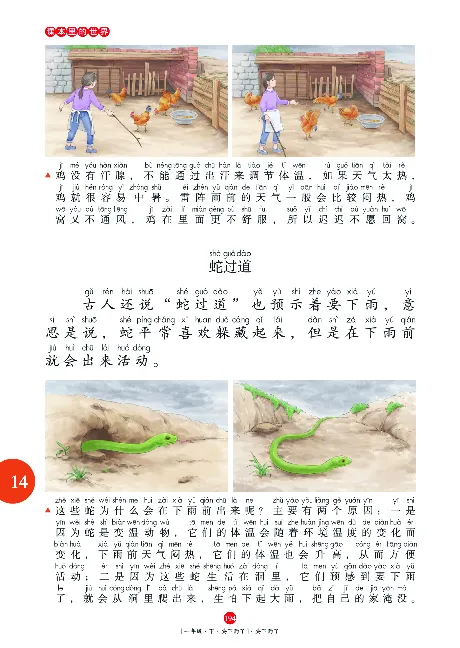 一（下）语文年级阅读_一年级上下册资料_小学一年级学习资料-25年更新版_1-02、小学一年级语文下册_3-6-2-1、复习、知识点、归纳汇总_部编（人教）版_阅读理解讲义