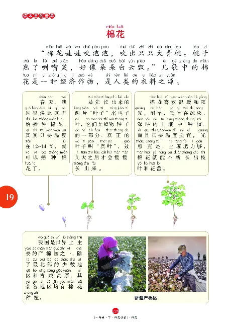 一（下）语文年级阅读_一年级上下册资料_小学一年级学习资料-25年更新版_1-02、小学一年级语文下册_3-6-2-1、复习、知识点、归纳汇总_部编（人教）版_阅读理解讲义