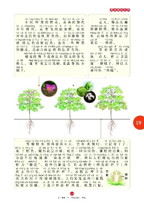 一（下）语文年级阅读_一年级上下册资料_小学一年级学习资料-25年更新版_1-02、小学一年级语文下册_3-6-2-1、复习、知识点、归纳汇总_部编（人教）版_阅读理解讲义