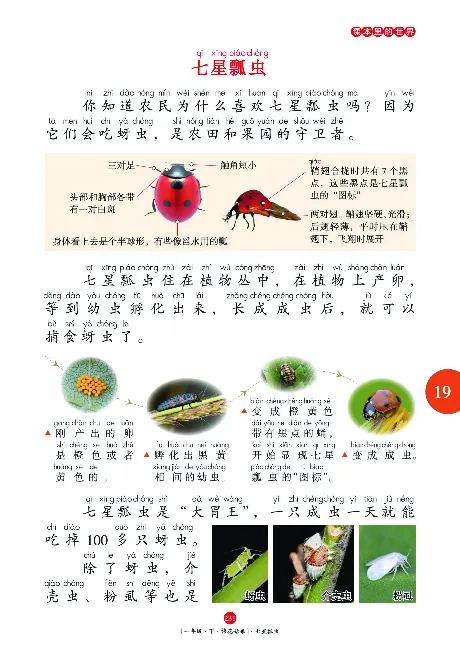 一（下）语文年级阅读_一年级上下册资料_小学一年级学习资料-25年更新版_1-02、小学一年级语文下册_3-6-2-1、复习、知识点、归纳汇总_部编（人教）版_阅读理解讲义