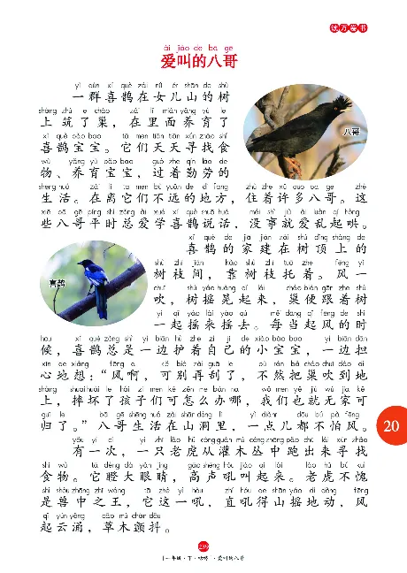 一（下）语文年级阅读_一年级上下册资料_小学一年级学习资料-25年更新版_1-02、小学一年级语文下册_3-6-2-1、复习、知识点、归纳汇总_部编（人教）版_阅读理解讲义