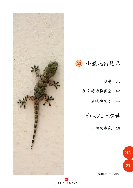 一（下）语文年级阅读_一年级上下册资料_小学一年级学习资料-25年更新版_1-02、小学一年级语文下册_3-6-2-1、复习、知识点、归纳汇总_部编（人教）版_阅读理解讲义