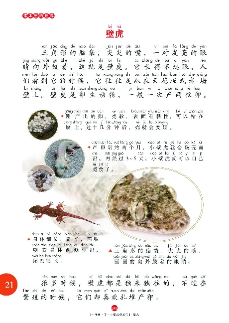 一（下）语文年级阅读_一年级上下册资料_小学一年级学习资料-25年更新版_1-02、小学一年级语文下册_3-6-2-1、复习、知识点、归纳汇总_部编（人教）版_阅读理解讲义