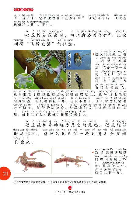 一（下）语文年级阅读_一年级上下册资料_小学一年级学习资料-25年更新版_1-02、小学一年级语文下册_3-6-2-1、复习、知识点、归纳汇总_部编（人教）版_阅读理解讲义