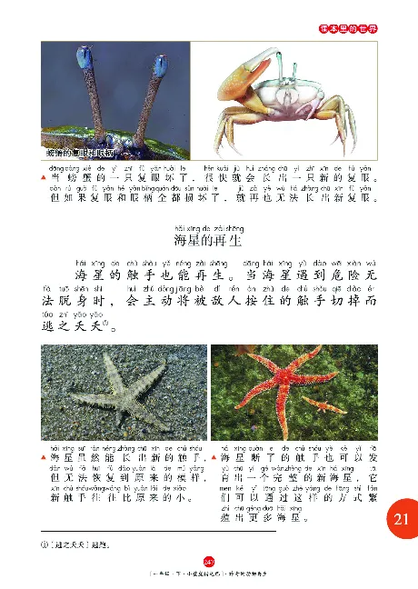 一（下）语文年级阅读_一年级上下册资料_小学一年级学习资料-25年更新版_1-02、小学一年级语文下册_3-6-2-1、复习、知识点、归纳汇总_部编（人教）版_阅读理解讲义
