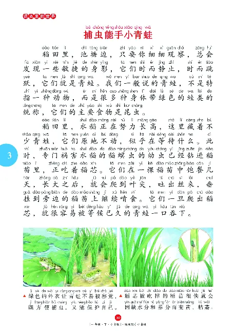 一（下）语文年级阅读_一年级上下册资料_小学一年级学习资料-25年更新版_1-02、小学一年级语文下册_3-6-2-1、复习、知识点、归纳汇总_部编（人教）版_阅读理解讲义