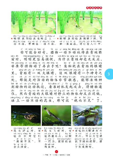 一（下）语文年级阅读_一年级上下册资料_小学一年级学习资料-25年更新版_1-02、小学一年级语文下册_3-6-2-1、复习、知识点、归纳汇总_部编（人教）版_阅读理解讲义