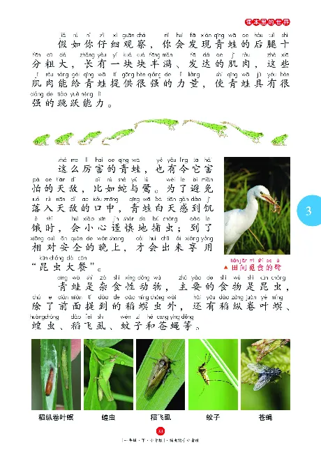 一（下）语文年级阅读_一年级上下册资料_小学一年级学习资料-25年更新版_1-02、小学一年级语文下册_3-6-2-1、复习、知识点、归纳汇总_部编（人教）版_阅读理解讲义