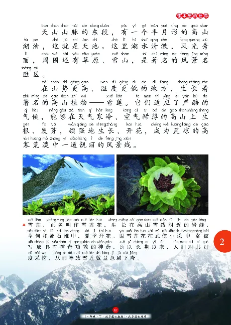 一（下）语文年级阅读_一年级上下册资料_小学一年级学习资料-25年更新版_1-02、小学一年级语文下册_3-6-2-1、复习、知识点、归纳汇总_部编（人教）版_阅读理解讲义