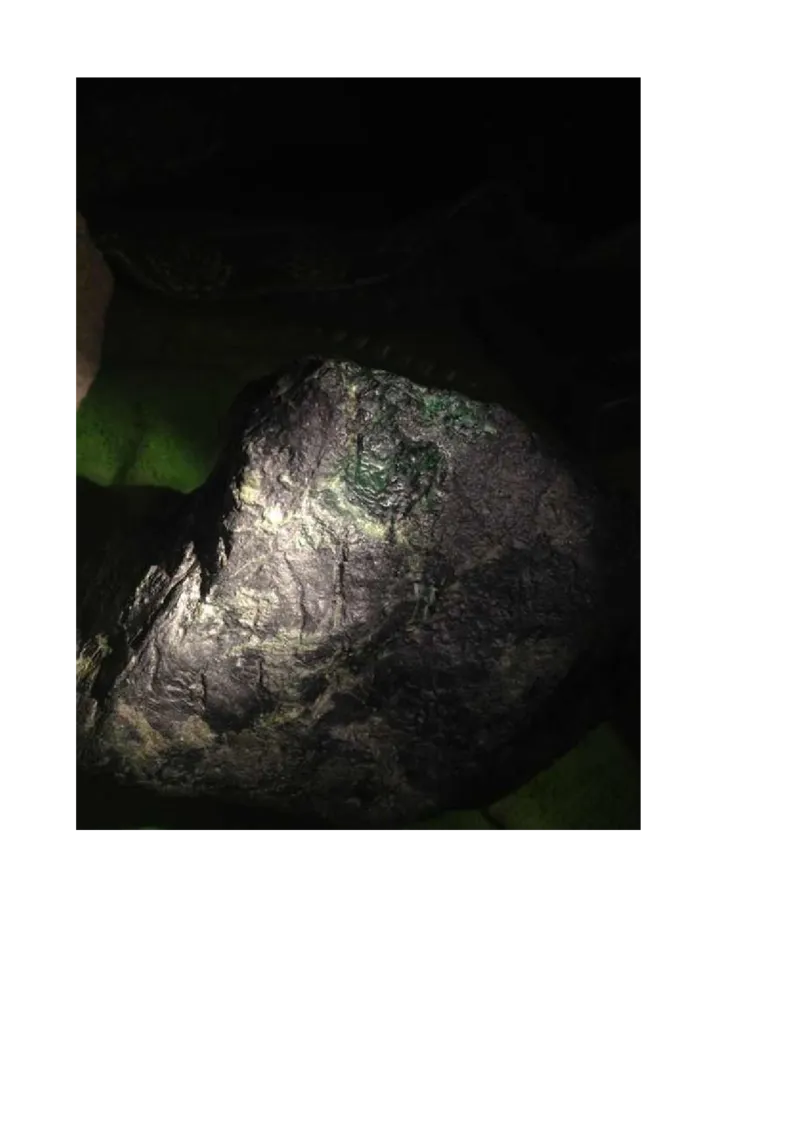 戒烟赌石帖_X018-玉石珠宝鉴定教程最新合集_8、玉石翡翠鉴定与投资电子资料_赌石专题