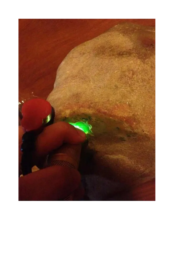 戒烟赌石帖_X018-玉石珠宝鉴定教程最新合集_8、玉石翡翠鉴定与投资电子资料_赌石专题