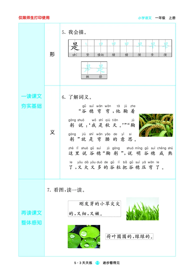 1_2024秋-5&middot;3天天练语文一上-预习册_一年级语文上册（统编版）_全套教学资源_课件1_预习册