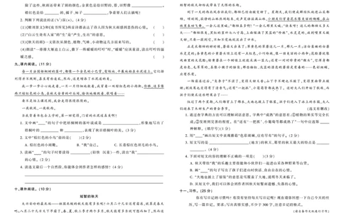 《王朝霞综合测评卷》语文3年级上册（RJ）_三年级上下册资料_小学三年级学习资料-25年更新版_3-01、小学三年级语文上册_3-1-2、练习题、作业、试题、试卷_电子册类